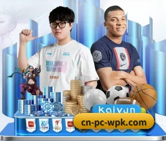 开云体育 APP - kaiyun